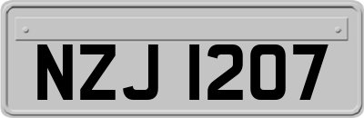 NZJ1207