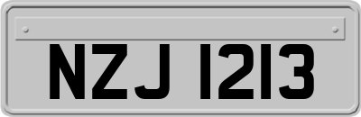 NZJ1213