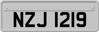 NZJ1219