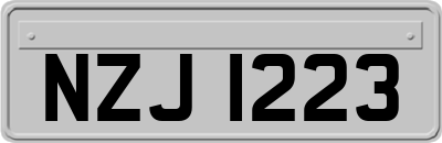 NZJ1223