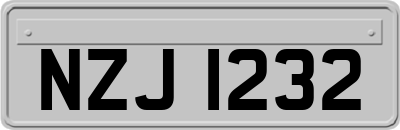 NZJ1232