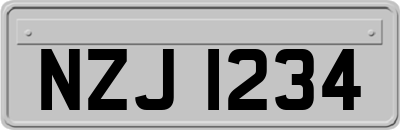 NZJ1234