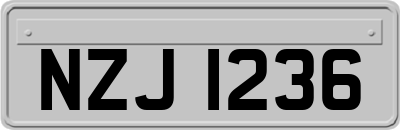 NZJ1236