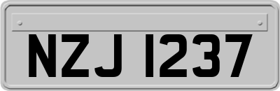 NZJ1237