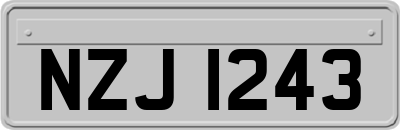 NZJ1243