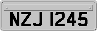 NZJ1245