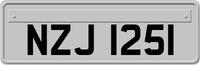 NZJ1251