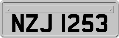 NZJ1253