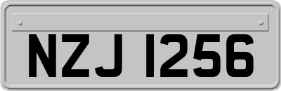 NZJ1256
