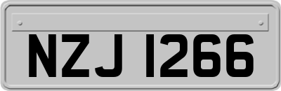 NZJ1266
