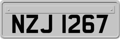 NZJ1267