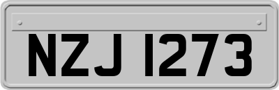 NZJ1273