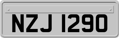 NZJ1290