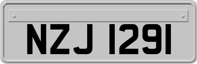 NZJ1291