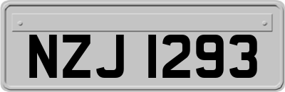 NZJ1293