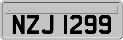 NZJ1299