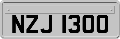 NZJ1300