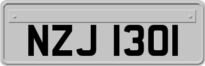 NZJ1301