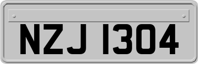 NZJ1304