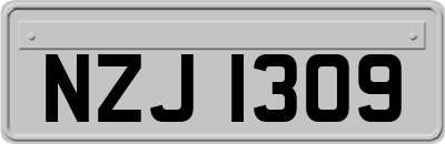 NZJ1309