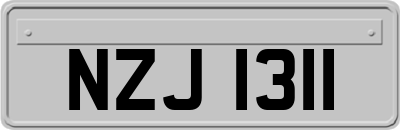 NZJ1311