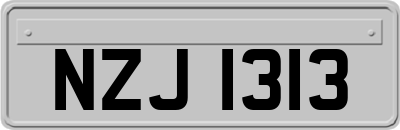 NZJ1313