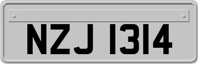 NZJ1314