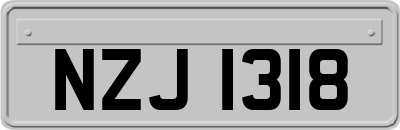 NZJ1318