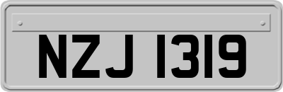 NZJ1319