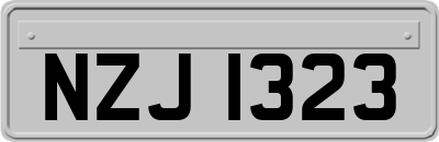 NZJ1323