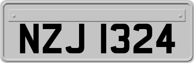NZJ1324