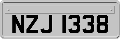 NZJ1338