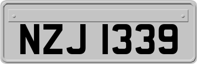 NZJ1339