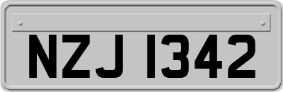 NZJ1342