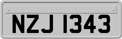 NZJ1343