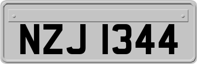 NZJ1344
