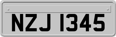 NZJ1345