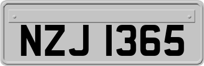 NZJ1365