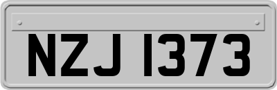 NZJ1373