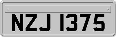 NZJ1375