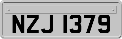 NZJ1379