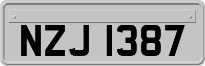 NZJ1387