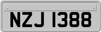 NZJ1388