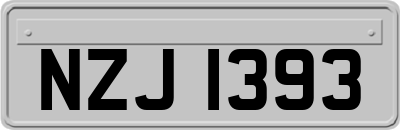NZJ1393