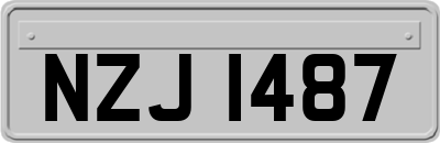 NZJ1487
