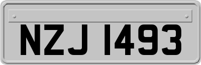 NZJ1493