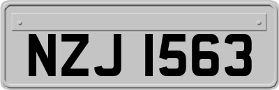 NZJ1563