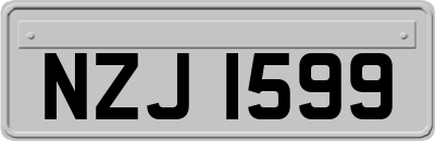 NZJ1599