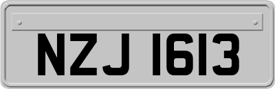 NZJ1613