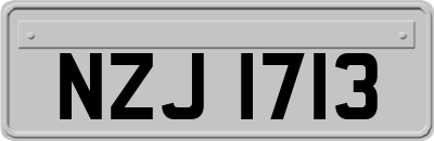 NZJ1713